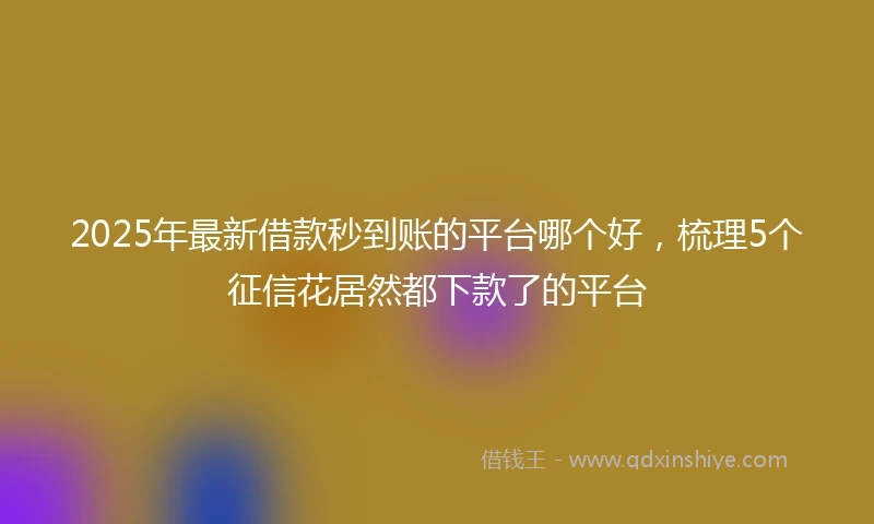 2025年最新借款秒到账的平台哪个好，梳理5个征信花居然都下款了的平台