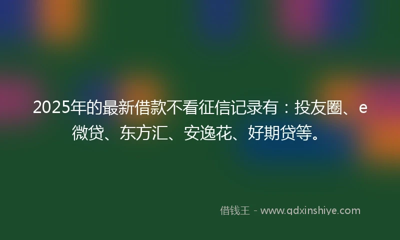 2025年的最新借款不看征信记录有：投友圈、e微贷、东方汇、安逸花、好期贷等。