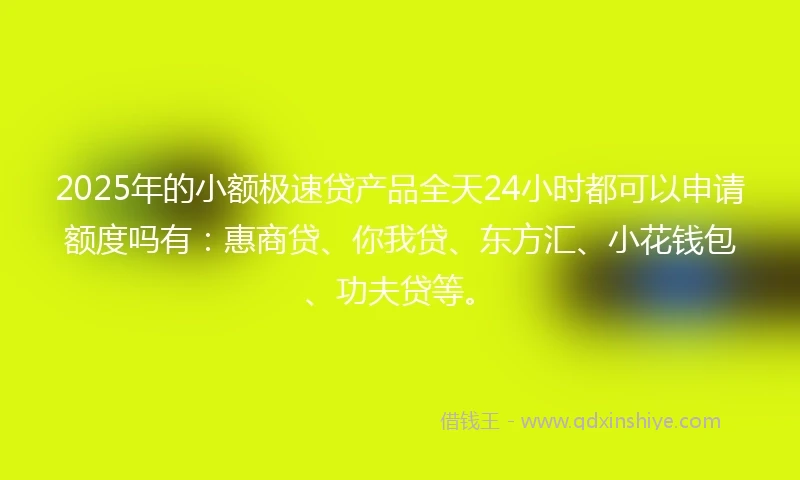 2025年的小额极速贷产品全天24小时都可以申请额度吗有：惠商贷、你我贷、东方汇、小花钱包、功夫贷等。