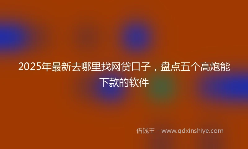 2025年最新去哪里找网贷口子，盘点五个高炮能下款的软件