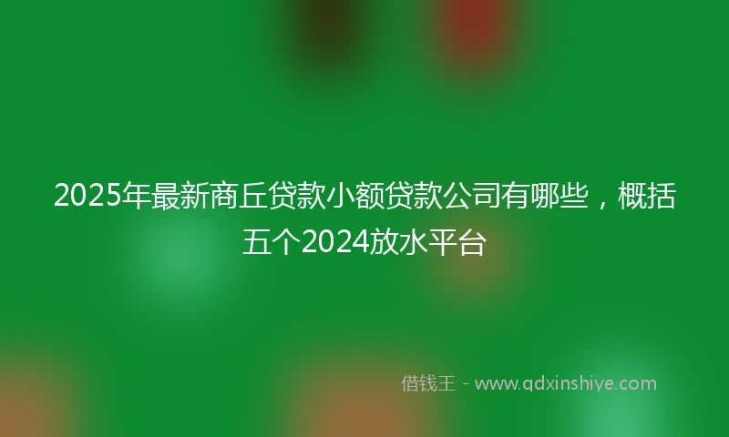 2025年最新商丘贷款小额贷款公司有哪些，概括五个2024放水平台