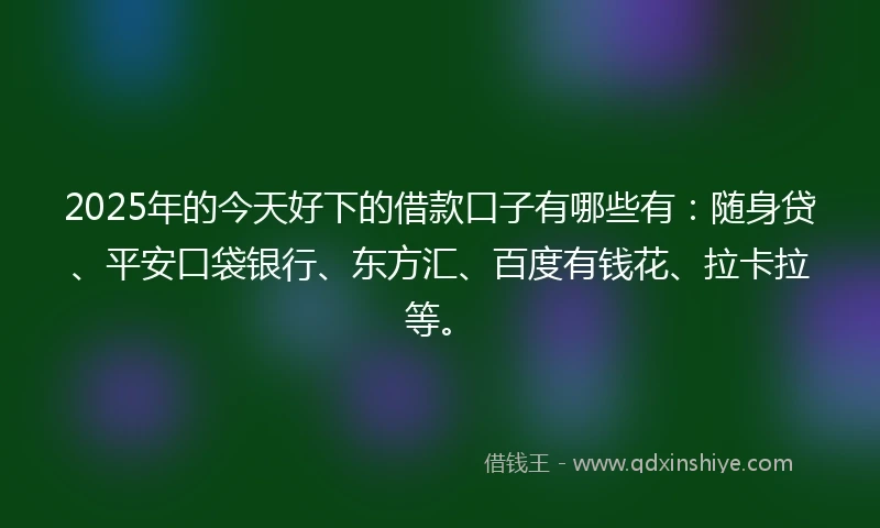 2025年的今天好下的借款口子有哪些有：随身贷、平安口袋银行、东方汇、百度有钱花、拉卡拉等。