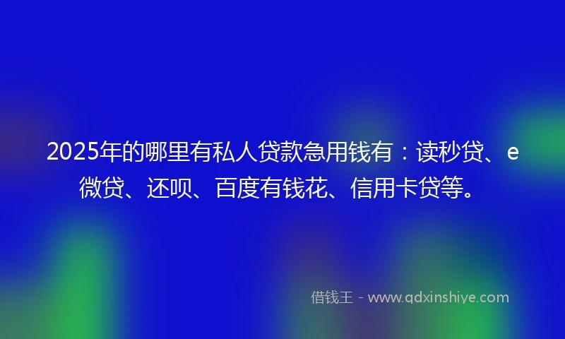 2025年的哪里有私人贷款急用钱有：读秒贷、e微贷、还呗、百度有钱花、信用卡贷等。