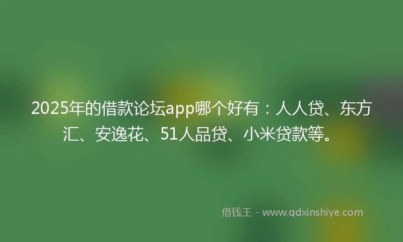 2025年的借款论坛app哪个好有：人人贷、东方汇、安逸花、51人品贷、小米贷款等。