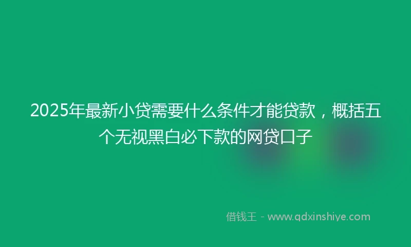 2025年最新小贷需要什么条件才能贷款，概括五个无视黑白必下款的网贷口子