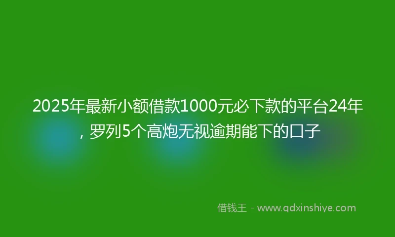 2025年最新小额借款1000元必下款的平台24年，罗列5个高炮无视逾期能下的口子