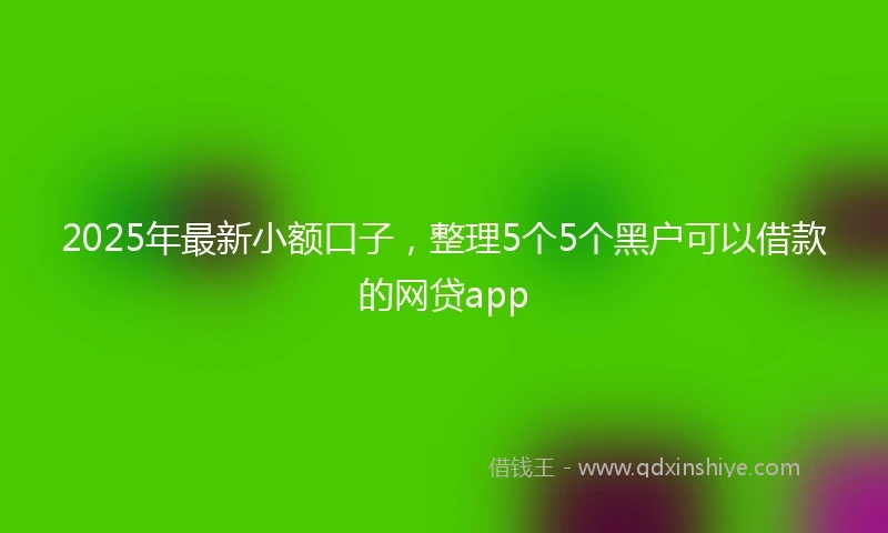 2025年最新小额口子，整理5个5个黑户可以借款的网贷app