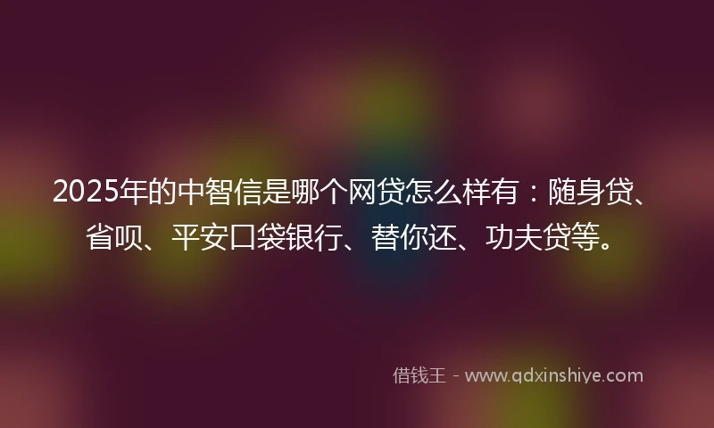 2025年的中智信是哪个网贷怎么样有：随身贷、省呗、平安口袋银行、替你还、功夫贷等。