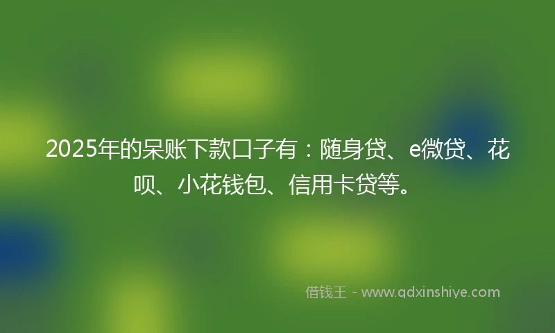 2025年的呆账下款口子有：随身贷、e微贷、花呗、小花钱包、信用卡贷等。