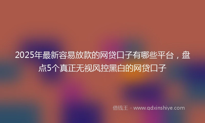 2025年最新容易放款的网贷口子有哪些平台，盘点5个真正无视风控黑白的网贷口子