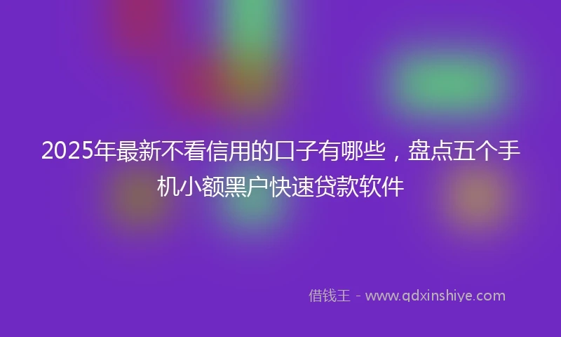 2025年最新不看信用的口子有哪些，盘点五个手机小额黑户快速贷款软件
