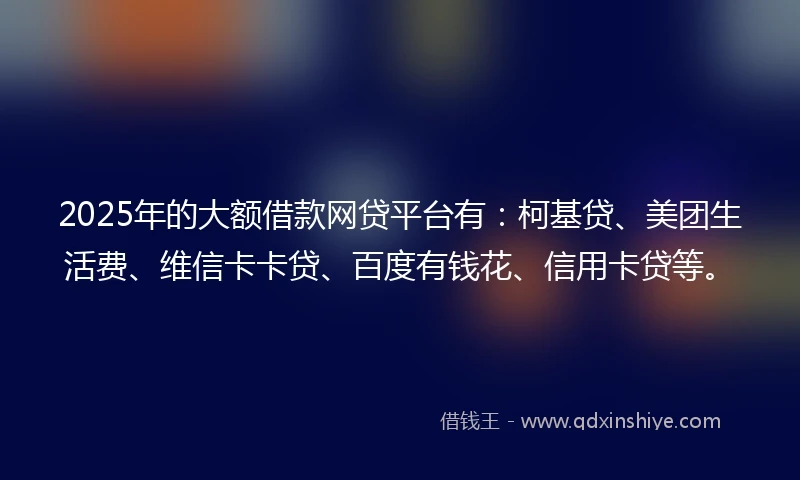 2025年的大额借款网贷平台有：柯基贷、美团生活费、维信卡卡贷、百度有钱花、信用卡贷等。