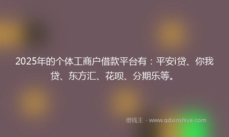 2025年的个体工商户借款平台有：平安i贷、你我贷、东方汇、花呗、分期乐等。
