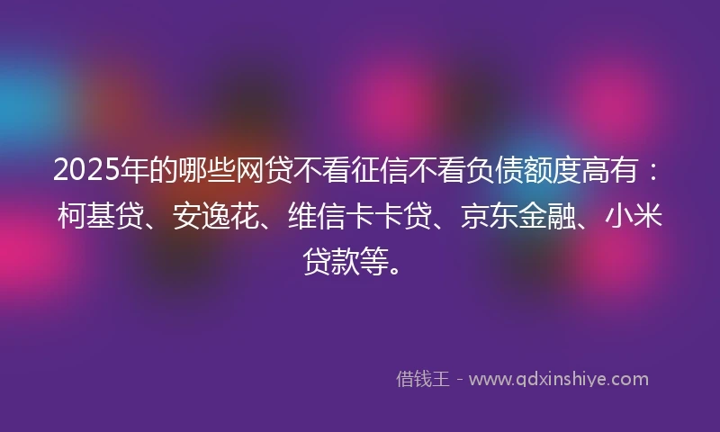 2025年的哪些网贷不看征信不看负债额度高有：柯基贷、安逸花、维信卡卡贷、京东金融、小米贷款等。