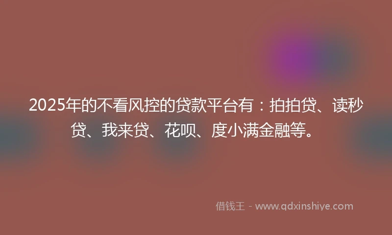 2025年的不看风控的贷款平台有：拍拍贷、读秒贷、我来贷、花呗、度小满金融等。