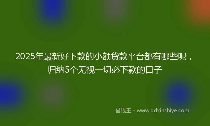 2025年最新好下款的小额贷款平台都有哪些呢，归纳5个无视一切必下款的口子