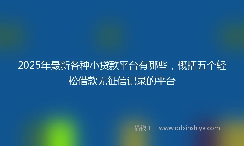 2025年最新各种小贷款平台有哪些，概括五个轻松借款无征信记录的平台
