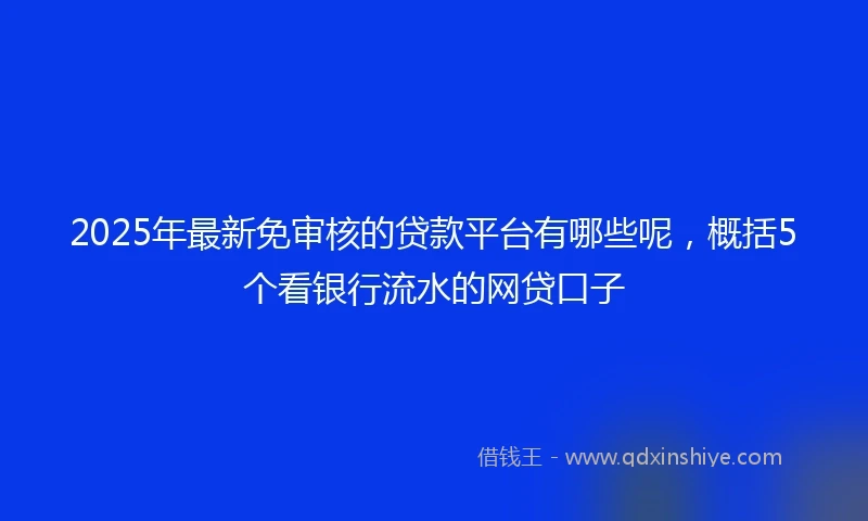 2025年最新免审核的贷款平台有哪些呢，概括5个看银行流水的网贷口子