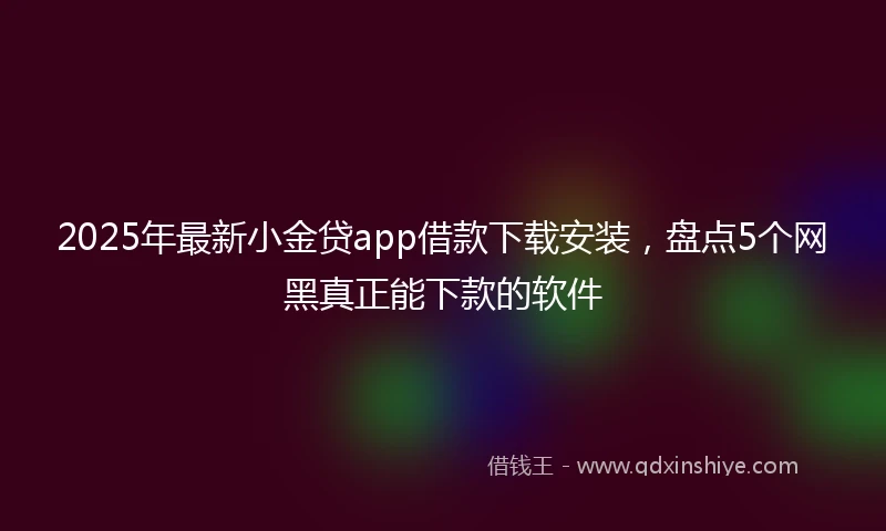 2025年最新小金贷app借款下载安装，盘点5个网黑真正能下款的软件
