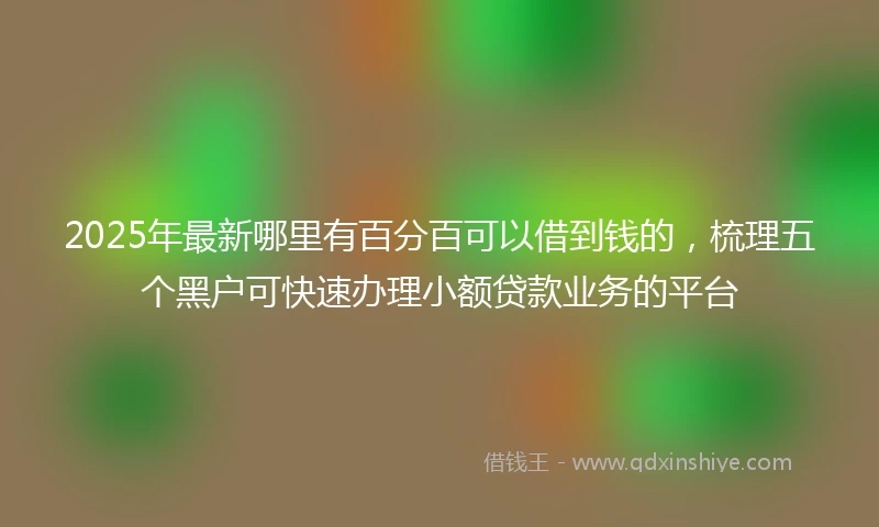 2025年最新哪里有百分百可以借到钱的，梳理五个黑户可快速办理小额贷款业务的平台