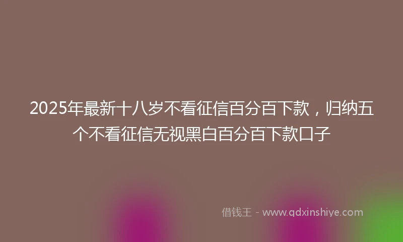 2025年最新十八岁不看征信百分百下款，归纳五个不看征信无视黑白百分百下款口子