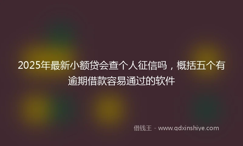 2025年最新小额贷会查个人征信吗，概括五个有逾期借款容易通过的软件