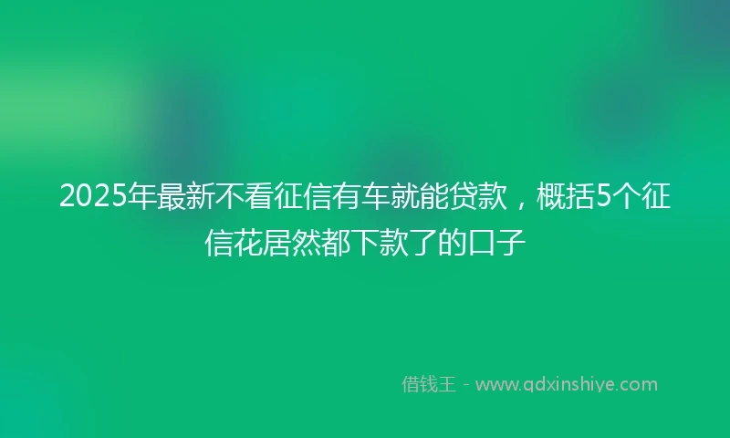2025年最新不看征信有车就能贷款，概括5个征信花居然都下款了的口子