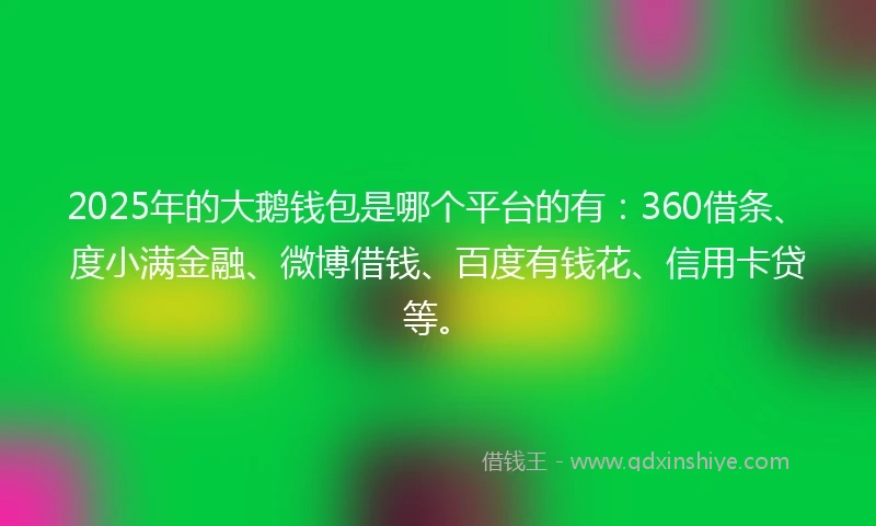 2025年的大鹅钱包是哪个平台的有：360借条、度小满金融、微博借钱、百度有钱花、信用卡贷等。