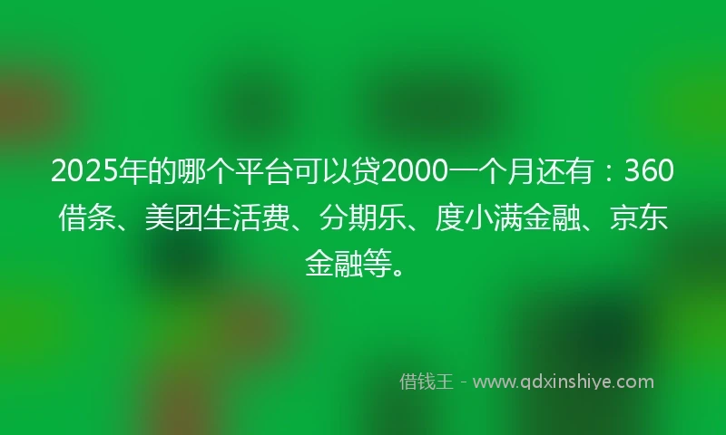 2025年的哪个平台可以贷2000一个月还有：360借条、美团生活费、分期乐、度小满金融、京东金融等。
