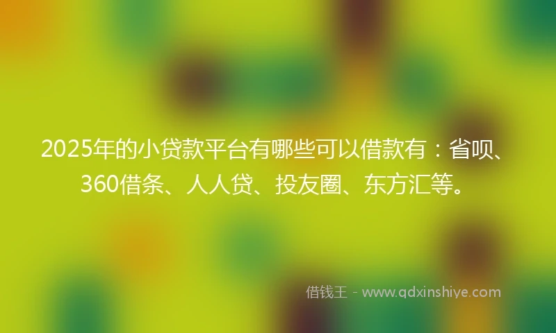 2025年的小贷款平台有哪些可以借款有：省呗、360借条、人人贷、投友圈、东方汇等。
