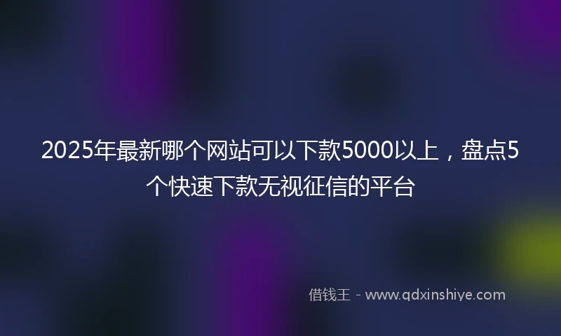 2025年最新哪个网站可以下款5000以上，盘点5个快速下款无视征信的平台