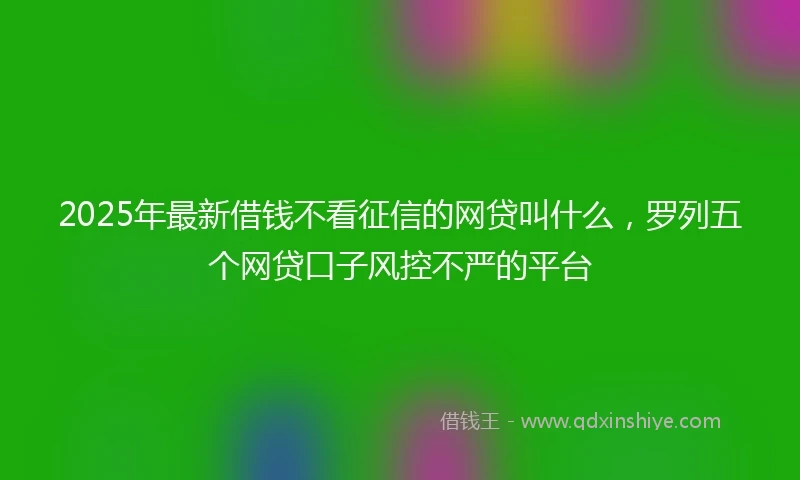 2025年最新借钱不看征信的网贷叫什么，罗列五个网贷口子风控不严的平台