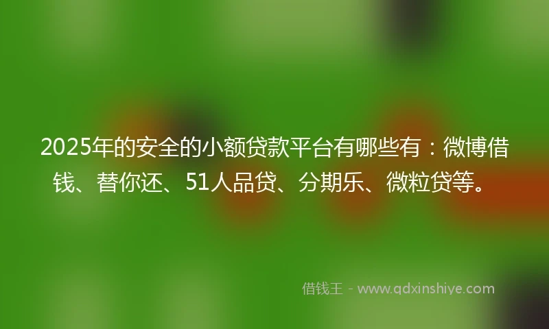 2025年的安全的小额贷款平台有哪些有：微博借钱、替你还、51人品贷、分期乐、微粒贷等。