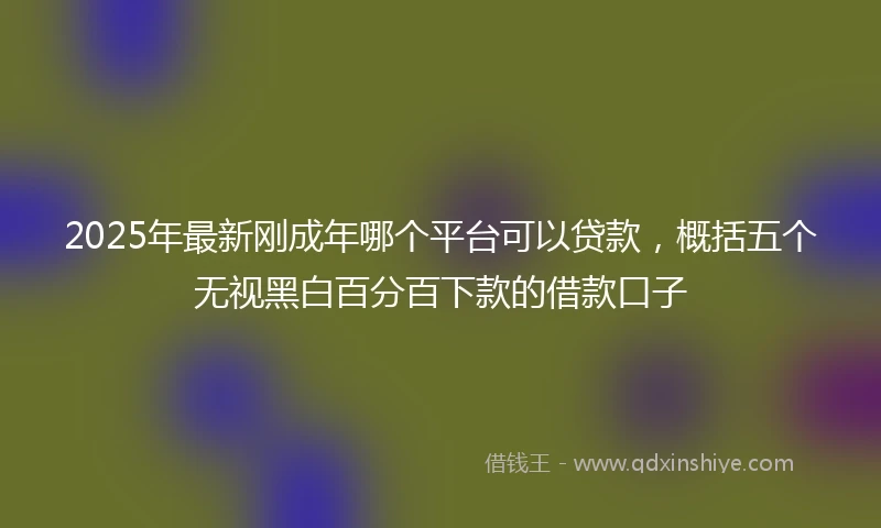 2025年最新刚成年哪个平台可以贷款，概括五个无视黑白百分百下款的借款口子
