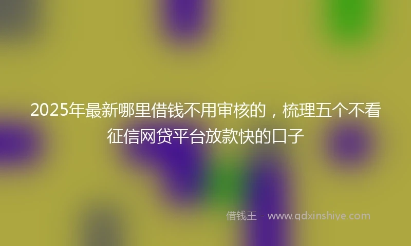 2025年最新哪里借钱不用审核的，梳理五个不看征信网贷平台放款快的口子