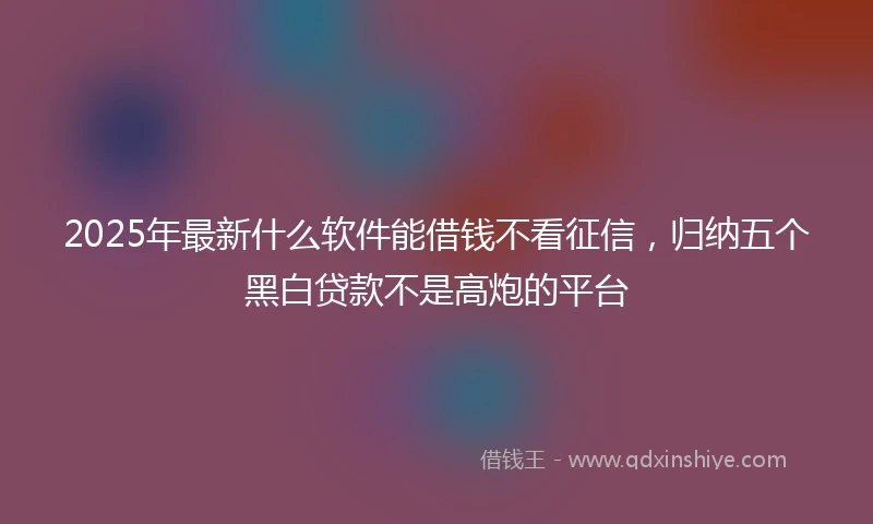 2025年最新什么软件能借钱不看征信，归纳五个黑白贷款不是高炮的平台