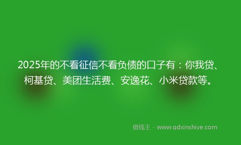 2025年的不看征信不看负债的口子有：你我贷、柯基贷、美团生活费、安逸花、小米贷款等。