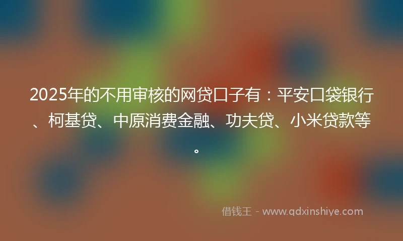 2025年的不用审核的网贷口子有：平安口袋银行、柯基贷、中原消费金融、功夫贷、小米贷款等。