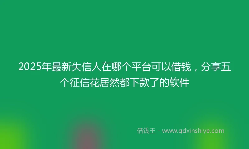 2025年最新失信人在哪个平台可以借钱，分享五个征信花居然都下款了的软件
