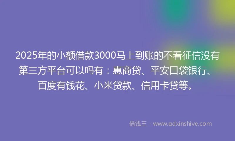 2025年的小额借款3000马上到账的不看征信没有第三方平台可以吗有：惠商贷、平安口袋银行、百度有钱花、小米贷款、信用卡贷等。