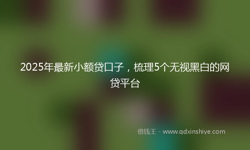 2025年最新小额贷口子，梳理5个无视黑白的网贷平台