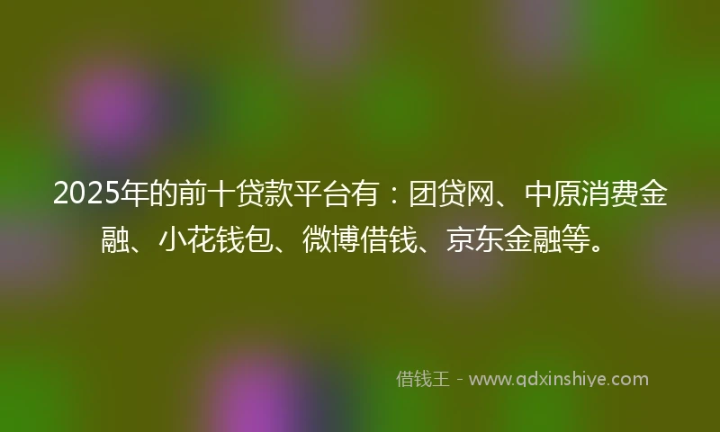 2025年的前十贷款平台有：团贷网、中原消费金融、小花钱包、微博借钱、京东金融等。