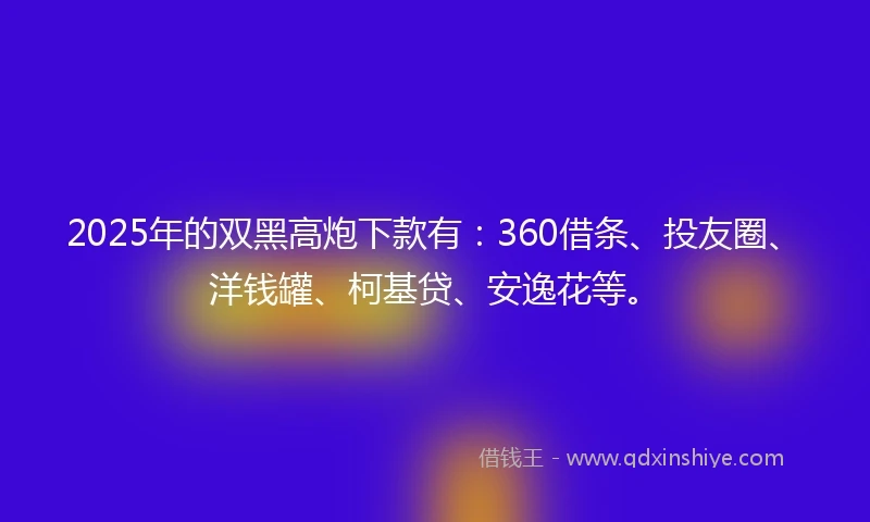 2025年的双黑高炮下款有：360借条、投友圈、洋钱罐、柯基贷、安逸花等。