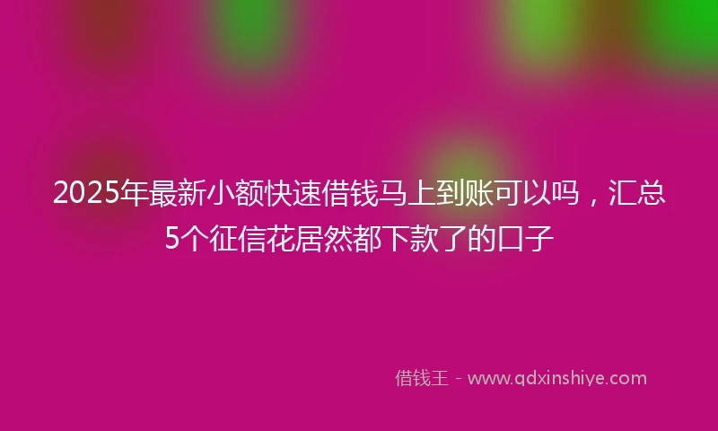 2025年最新小额快速借钱马上到账可以吗，汇总5个征信花居然都下款了的口子