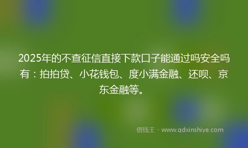 2025年的不查征信直接下款口子能通过吗安全吗有：拍拍贷、小花钱包、度小满金融、还呗、京东金融等。