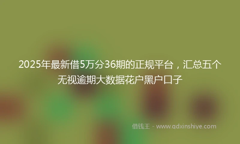 2025年最新借5万分36期的正规平台，汇总五个无视逾期大数据花户黑户口子