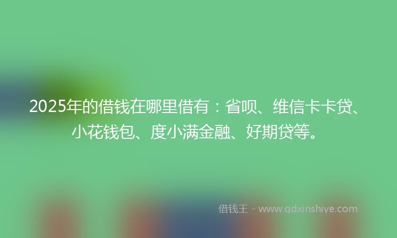 2025年的借钱在哪里借有：省呗、维信卡卡贷、小花钱包、度小满金融、好期贷等。