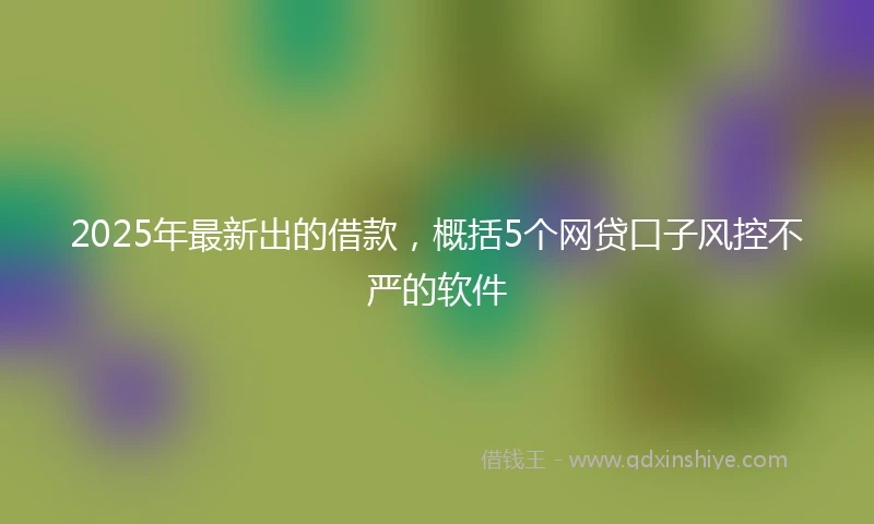 2025年最新出的借款，概括5个网贷口子风控不严的软件