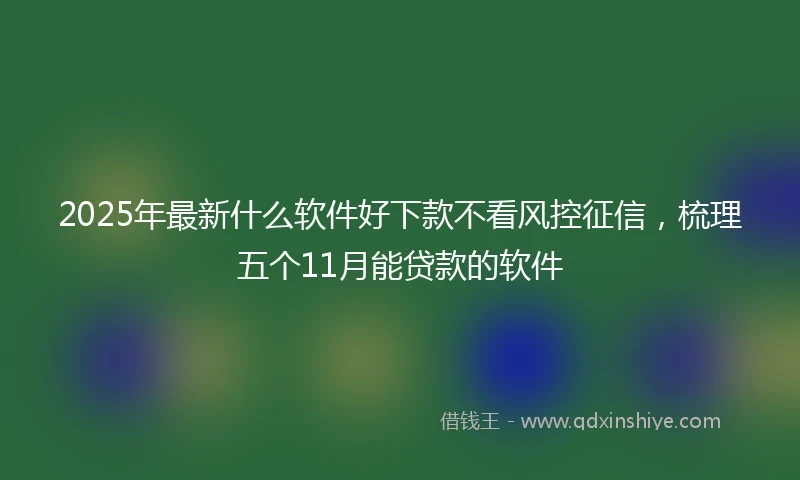 2025年最新什么软件好下款不看风控征信，梳理五个11月能贷款的软件
