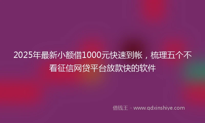 2025年最新小额借1000元快速到帐，梳理五个不看征信网贷平台放款快的软件